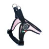 Tre Ponti | Chien | Harnais Classique | Confort Et Réglable | Rose 2 Tre Ponti | Chien | Harnais Classique | Confort Et Réglable | Rose -Fournitures Pour Chiens tre ponti chien harnais classique confort et reglable rose