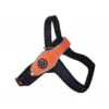 Tre Ponti Primo | Harnais Réfléchissant Avec Poignée Pour Moyen Et Grand Chien | Orange -Fournitures Pour Chiens tre ponti primo harnais reflechissant avec poignee pour moyen et grand chien orange
