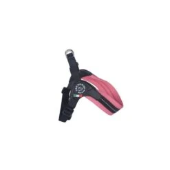 Tre Ponti Sorbetto | Harnais Pour Petit Chien Et Chat Ultra Confortable Avec Sangle Réglable | Rose Pêche