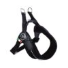Tre Ponti Sottopancia | Harnais Pour Petit Chien Et Chat Avec Sangle Réglable | Noir