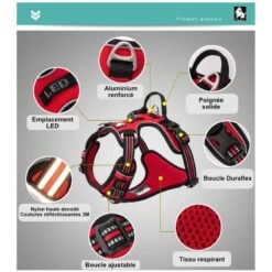 TrueLove | Harnais Pour Chien Anti-traction Country+ | Rouge 9 TrueLove | Harnais Pour Chien Anti-traction Country+ | Rouge -Fournitures Pour Chiens truelove harnais pour chien anti traction country rouge 2