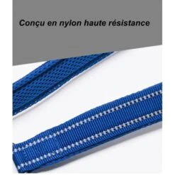 TrueLove | Laisse Pour Chien WALK | Bleu 11 TrueLove | Laisse Pour Chien WALK | Bleu -Fournitures Pour Chiens truelove laisse pour chien walk bleu 4