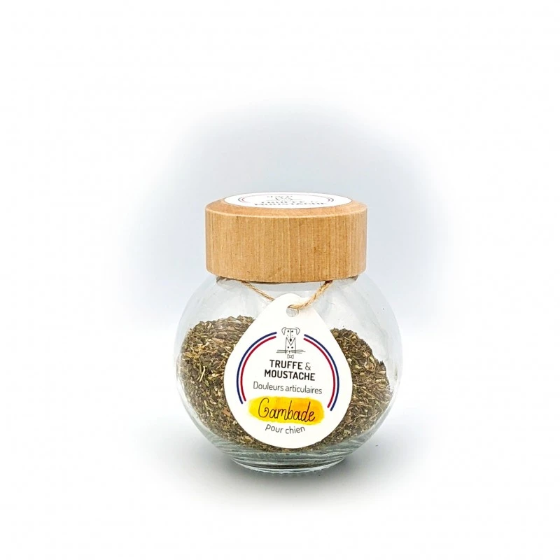 Truffe Et Moustache | Chien | Mobilité & Confort Articulaire, Complément Alimentaire Pour Chien, Recharge, Gambade 4 Truffe Et Moustache | Chien | Mobilité & Confort Articulaire, Complément Alimentaire Pour Chien, Recharge, Gambade – Image 2