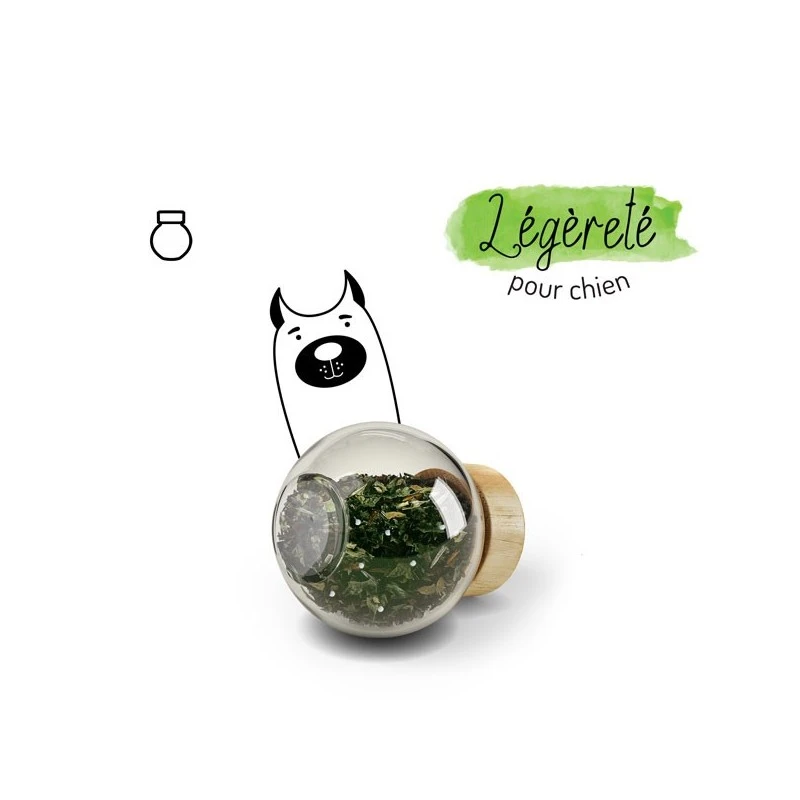 Truffe Et Moustache | Chien | Soin De La Sphère Digestive, Complément Alimentaire , Recharge, Légèreté 3 Truffe Et Moustache | Chien | Soin De La Sphère Digestive, Complément Alimentaire , Recharge, Légèreté