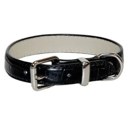 Vivog | Chien | Collier Effet Croco Dundy | Noir