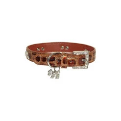 Vivog | Chien | Collier Oeil De Tigre