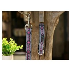 Walk-e-Woo Pow Wow Pink | Collier Et Laisse Pour Chien -Fournitures Pour Chiens walk e woo pow wow pink collier et laisse pour chien 3