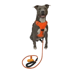 Wanimalz | Chien | Kit De Promenade 3 En 1