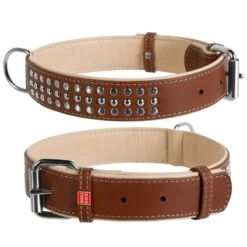 Waudog | Chien | Collier Premium Grands Chiens Avec Rivets 8 Waudog | Chien | Collier Premium Grands Chiens Avec Rivets -Fournitures Pour Chiens waudog chien collier premium grands chiens avec rivets 2