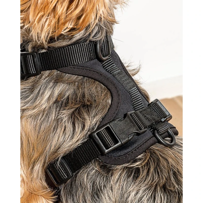Wild One | Harnais Pour Chien | Noir 5 Wild One | Harnais Pour Chien | Noir – Image 3