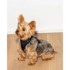 Wild One | Harnais Pour Chien | Noir 9 Wild One | Harnais Pour Chien | Noir -Fournitures Pour Chiens wild one harnais pour chien noir 3