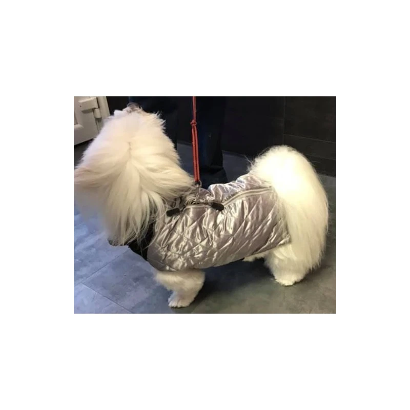 Wouapy | Bombers Pour Chien | Manteau Imperméable | Gris 4 Wouapy | Bombers Pour Chien | Manteau Imperméable | Gris – Image 2